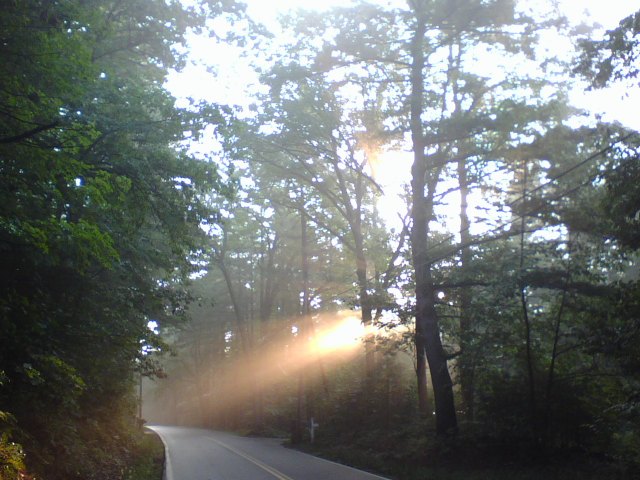 Morning Mist